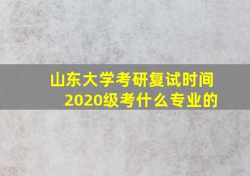 山东大学考研复试时间2020级考什么专业的