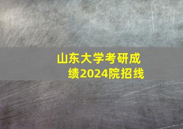 山东大学考研成绩2024院招线