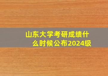 山东大学考研成绩什么时候公布2024级