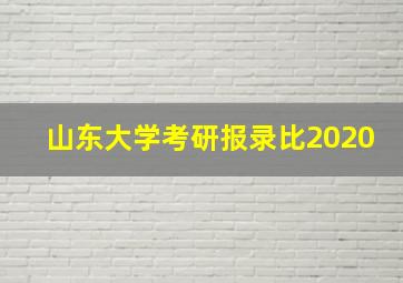 山东大学考研报录比2020