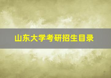 山东大学考研招生目录