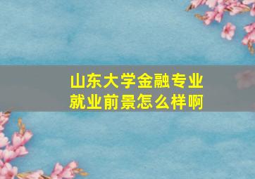 山东大学金融专业就业前景怎么样啊