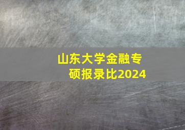 山东大学金融专硕报录比2024