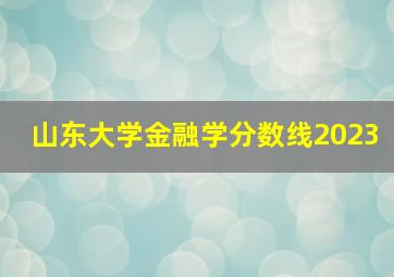 山东大学金融学分数线2023