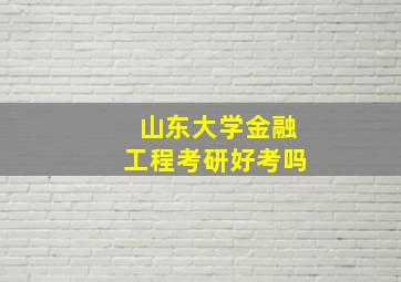 山东大学金融工程考研好考吗