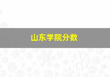 山东学院分数