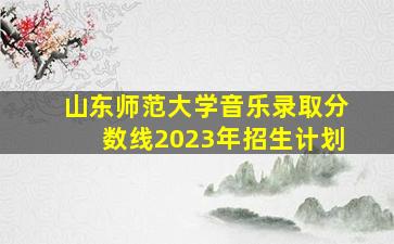 山东师范大学音乐录取分数线2023年招生计划