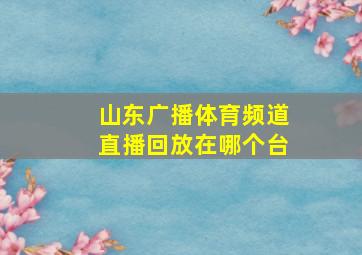 山东广播体育频道直播回放在哪个台