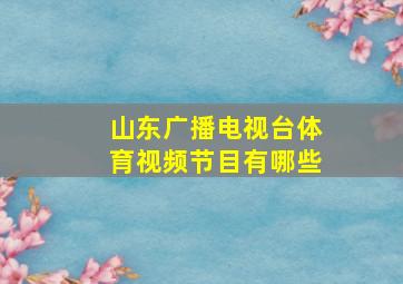 山东广播电视台体育视频节目有哪些