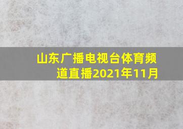 山东广播电视台体育频道直播2021年11月