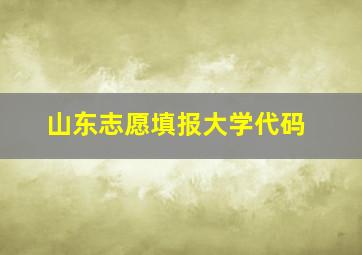 山东志愿填报大学代码