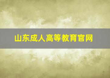 山东成人高等教育官网