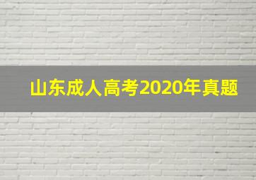 山东成人高考2020年真题