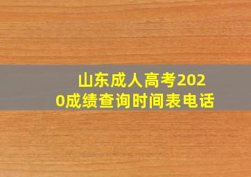 山东成人高考2020成绩查询时间表电话