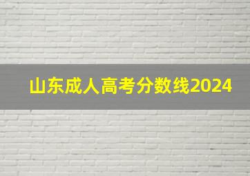 山东成人高考分数线2024