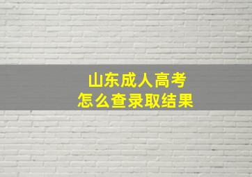 山东成人高考怎么查录取结果