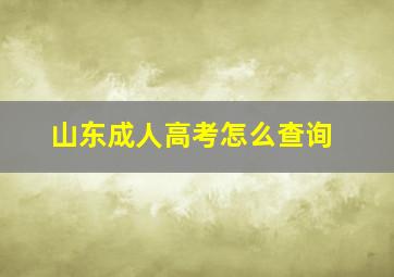 山东成人高考怎么查询