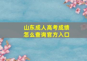 山东成人高考成绩怎么查询官方入口