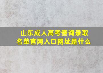 山东成人高考查询录取名单官网入口网址是什么