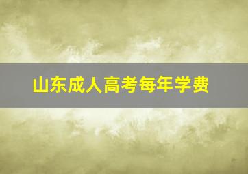 山东成人高考每年学费