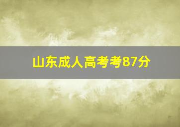 山东成人高考考87分