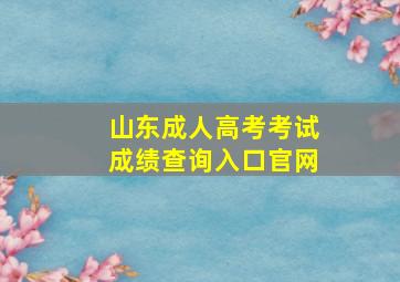 山东成人高考考试成绩查询入口官网