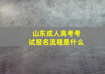 山东成人高考考试报名流程是什么