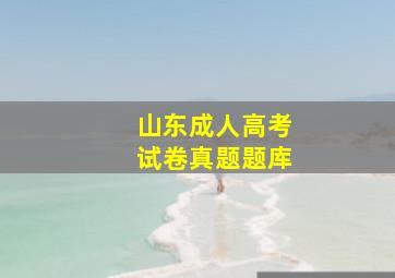 山东成人高考试卷真题题库