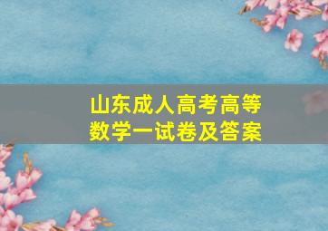 山东成人高考高等数学一试卷及答案