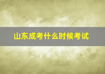 山东成考什么时候考试