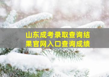 山东成考录取查询结果官网入口查询成绩