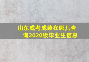 山东成考成绩在哪儿查询2020级毕业生信息