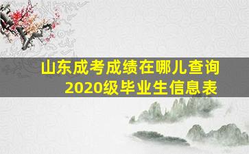 山东成考成绩在哪儿查询2020级毕业生信息表