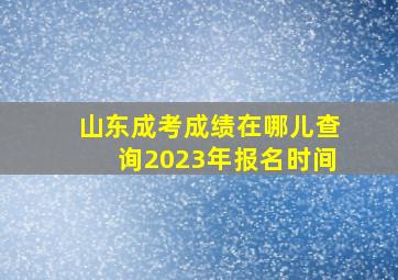 山东成考成绩在哪儿查询2023年报名时间