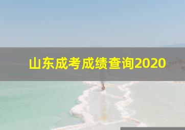 山东成考成绩查询2020