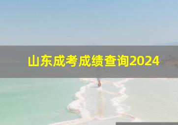 山东成考成绩查询2024