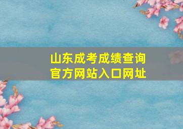 山东成考成绩查询官方网站入口网址