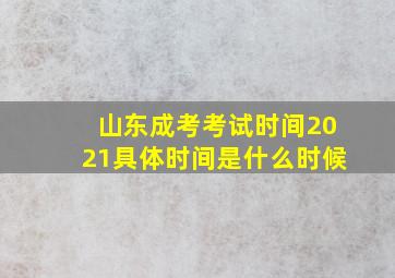 山东成考考试时间2021具体时间是什么时候