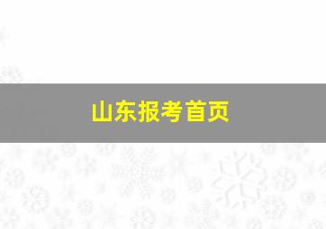 山东报考首页