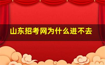 山东招考网为什么进不去