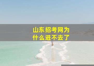 山东招考网为什么进不去了