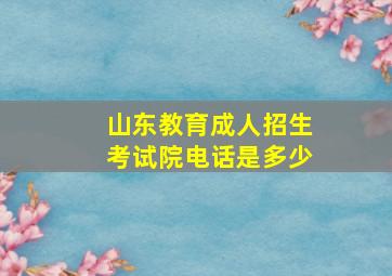 山东教育成人招生考试院电话是多少