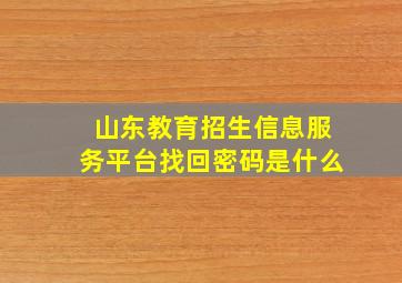 山东教育招生信息服务平台找回密码是什么