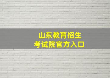 山东教育招生考试院官方入口