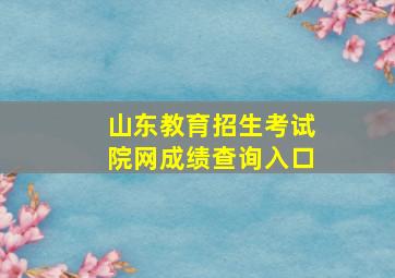 山东教育招生考试院网成绩查询入口