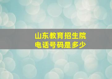 山东教育招生院电话号码是多少