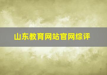 山东教育网站官网综评