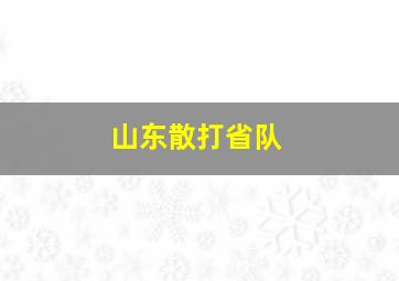 山东散打省队