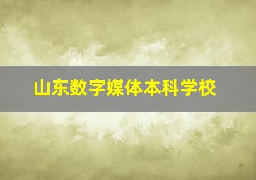 山东数字媒体本科学校