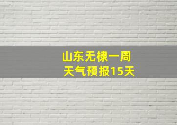 山东无棣一周天气预报15天